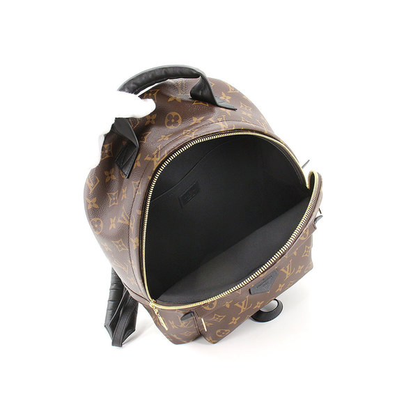 Louis Vuitton Monogram Palm Springs Backpack MM Brown - Picture 5 of 7